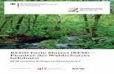 REDD Early Movers (REM) - bmz.de · PDF file2 1. REDD “ Early Movers ” – Pioniere belohnen Was will REM? REDD steht für “Reducing Emissions from Deforestation and Forest Degradation