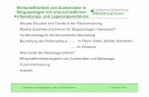 Wirtschaftlichkeit von Zuckerrüben in Biogasanlagen mit ...biogasruebe.3-n.info/assets/template_3n/ruebenlager/2013/Vorträge... · Dr. Schindler, Folie 1 Was kostet die Maissilage