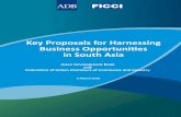 Key Proposals for Harnessing Business Opportunities in ... 3-Mar-10.pdf · Key Proposals for Harnessing Business Opportunities in South ... South Asian Economic Integration ... Proposals