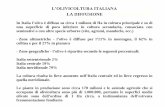 L’OLIVICOLTURA ITALIANA - Since 1995 · PDF fileL’OLIVICOLTURA ITALIANA LA DIFFUSIONE G. – Università degli Studi di Torino In Italia l’olivo è diffuso su circa 1 milione