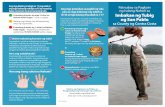Patnubay sa Pagkain ng Isdang Nahuli sa Imbakan ng Tubig ... · PDF fileTitle: Safe Fishing and Eating of Fish in San Pablo Reservoir - Tagolog Author: OEHHA Subject: Safe Fishing