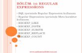 BÖLÜM- 14: REGULAR · PDF fileBÖLÜM- 14: REGULAR EXPRESSİONS SQL içerisinde Regular Expression kullanımı Regular Expressions içerisinde Meta karakter kullanımı