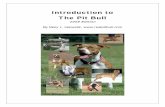 Introduction to The Pit  · PDF fileIntroduction to . The Pit Bull . ... But the core of the animal is all dog, ... To obtain copies of the standards, write to