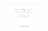 LECTURE NOTES IN LINEAR ALGEBRA - Pokrovka11's Blog · PDF fileInternational College of Economics and Finance LECTURE NOTES IN LINEAR ALGEBRA 0 B B B B @ 11 12 13 14 " 15 21 22 23