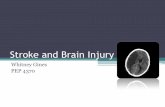 Stroke and Brain Injury - weber.edu · PDF fileStroke and Brain Injury Whitney Gines PEP ... “Exercise is a normal human function that can be undertaken ... •Biggest challenge