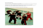 Doce Pares Eskrima Drei Jahre philippinischer Kampfsport ... · PDF fileKampfsportsystemen wie z.B. Doce Pares Multistyle, Inosanto-Kali, Wing Chun, Jeet Kune Do und WKFS (World Knife
