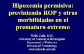 Hipoxemia permisiva: previniendo ROP y otras · PDF fileHipoxemia permisiva: previniendo ROP y otras morbilidades en el prematuro extremo Wally Carlo, ... Pneumonia/BPD exacerbations