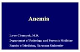 Anemia - มหาวิทยาลัยนเรศวร 1 slide.pdf · Female Genital Tract Gastrointestinal Tract @ ... RDI = 2.4 ug/d ... destruction in RE system; spleen-Hemolysis