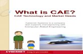 What is CAE? - CAE / ITソリューションのサイバ ... · PDF fileCybernet Systems is a company that supports manufacturing with Computer Aided Engineering What is CAE? CAE Technology