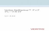 Veritas NetBackup™ アップグレードガイドjpn-nec-com-org.onenec.net/backup/netbackup/... · 概要 この章では以下の項目について説明しています。 『NetBackup