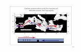 10 - Woods Hole Oceanographic  · PDF fileWe use ﬁlters to sample suspended POM 10.14 The ... 10.19 Geographic