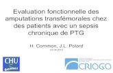 Evaluation fonctionnelle des amputations transfémorales ... · PDF filedes patients avec un sepsis chronique de PTG H. Common, J.L. Polard 03.04.2014 . Plan • Problématique •