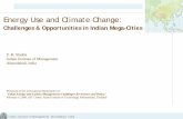 Energy Use and Climate Change - 国立環境研究所 · PDF fileEnergy Use and Climate Change: ... • Projects of Ring Road, flyovers, ... • About 200 Ton air-conditioning plant