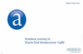 A Amadeus Journey to Oracle Grid Infrastructure 11gR2 A · PDF fileDifferent migration windows ... VMax 2 0 1 1 A m a d e u s I T G r ... HPUXv3 or RHEL 5 1A lib Oracle Clusterware