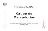 Grupo de Mercadorias - newi.com.br · PDF fileTreinamento SAP Grupo de Mercadorias Contas a Pagar / Suprimentos / Tributos / RH / CCSAP Fevereiro 2010