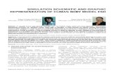 SIMULATION SCHEMATICSIMULATION SCHEMATIC AND GRAPHIC ... · PDF filesimulation schematicsimulation schematic and graphic representation of human boby model esdrepresentation of human