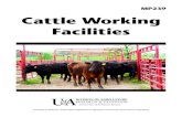 Cattle Working Facililties - MP239 - uaex.edu primary purposes of cattle working facilities and equipment are to provide a fast and efficient way to handle and work cattle, provide