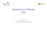 Snappercursus nefrologie 2018 -   · PDF fileSnappercursus nefrologie 2018 Marc Vervloet, VUmc Willem Bax, Noordwest Ziekenhuisgroep