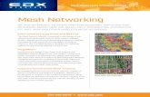 Mesh Networking - EDX Wireless | Smart Planning for Smart ...edx.com/wp-content/uploads/2014/07/brochure_mesh.pdf · Essential to the design of any Smart Grid network, the MegaMesh