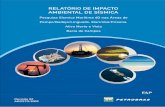 RELATÓRIO DE IMPACTO AMBIENTAL DE SÍSMICAlicenciamento.ibama.gov.br/Petroleo/Sismica/Sismica 3D-4C - Bacia... · Relatório de Impacto Ambiental de Sísmica RIAS | 1 PETROBRAS pretende