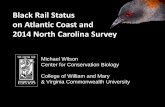 Black Rail Status on Atlantic Coast and 2014 North Carolina Survey · PDF fileBlack Rail Status on Atlantic Coast and 2014 North Carolina Survey Michael Wilson Center for Conservation