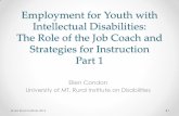 Employment for Youth with Intellectual Disabilities: …ruralinstitute.umt.edu/transition/Handouts/Employment...Employment for Youth with Intellectual Disabilities: The Role of the