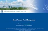 Spent Nuclear Fuel Management - International Atomic ... Cycle Strategies and Options for the Management of Spent Nuclear Fuel and Radioactive Waste for Countries Embarking on the