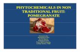 PHYTOCHEMICALS IN NON TRADITIONAL FRUIT: POMEGRANATEagrilifecdn.tamu.edu/foodsforhealth/files/2011/03/TAMU_Grp2_Nov17... · PHYTOCHEMICALS IN NON TRADITIONAL FRUIT: POMEGRANATE ...