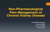 Non-pharmacological management of Chronic Kidney · PDF filePyelonephritis Infected cysts ... Cold, heat, sound, electromagnetic waves, electricity, and mechanical forces ... Ice pack,