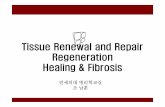 Tissue Renewal and Repair Regeneration Healing & Fibrosis · PDF fileRegeneration vs. Healing • Regeneration Growth of cell and tissue to replace lost structures • Amputated tails