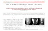 Endoprosthetic Reconstruction in the Limb Salvage Surgery · PDF file · 2016-01-13455 Endoprosthetic Reconstruction in the Limb Salvage Surgery 경우에는 그리 적합하지 못하다.