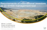 Requirements of international investors as an EHSS ...minex-club.s3.amazonaws.com/2December2013/slides/Elena-Amirkhan… · RISK MANAGEMENT Capex & Opex Civil & Criminal Action ...