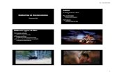 Admin Deblurring & Deconvolution · PDF file · 2008-05-145/13/2008 2 Overview • Removing Camera Shake – Non-blind – Blind • Removing Motion Blur – Non-blind – Blind •