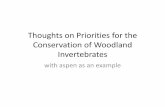 Thoughts on Priorities for the Conservation of Woodland ... · PDF fileThoughts on Priorities for the Conservation of Woodland Invertebrates with aspen as an ... 8 ASPEN INSECTS ...