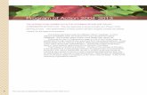 Program of Action 2004-2013 - ct.gov Connecticut Statewide Forest Resource Plan 2004-2013 12 ... impediment acts against forest ecosystem health. ... Human Impediments to a …