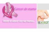 Cancer de Mama- Prevención