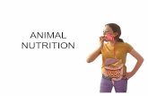 ANIMAL NUTRITION - Wikispaces and diet.pdf... · Animal Nutrition Nutrients & Diet Digestive System. 3 Lesson 1 Learning Objective 1.List the chemical elements which make up ... This