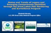 Elizabeth Murphy U.S. EPA Great Lakes National … Lakes Fish Monitoring Program Pre-2010 Open Lake Trends Monitoring Monitor contaminant trends in the open waters of the Great Lakes