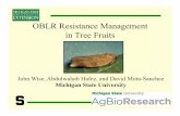 OBLR Resistance Management in Tree Fruits resistance...OBLR Resistance Management in Tree Fruits John Wise, ... Voliam Flexi (chlorantraniliprole ... Bts good poor poor
