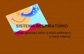 SISTEMA RESPIRATÓRIO · PPT file · Web view · 2012-05-29SISTEMA RESPIRATÓRIO Trocas gasosas entre o meio externo e o meio interno Sistema respiratório O sistema respiratório