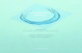 HYDROGEN WATER - jpn.igrentech.comjpn.igrentech.com/.../03/2017-grentech-catalog.pdf · Grentech has everything about hydrogen water of saving lives. 생명을 살리는 수소수에