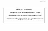 What is a Vertebrate? What characteristics do … 27, 2014 Characteristics of Chordates • vertebrates are a subgroup in the phylum Chordata • members of this phylum are called