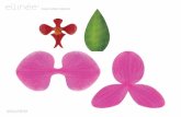 PINK PAPER ORCHID - Elli · PDF filePINK ORCHID BACK. Title: PinkPaperOrchid Created Date: 8/13/2012 1:22:41 PM