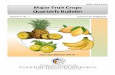 Major Fruit Crops - National Statistics Office of the ... Fruit Crops Quarterly... · Major Fruit Crops . ... TABLE 3 Volume of Production for Calamansi by Region, October-December: