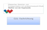 CLIL- Fachrichtung - plur-e.eu CLIL-section Gym Bozen.pdfCLIL-SECTION GYM BZ ... Italian/law, English/natural science •Italian one module in the first semester •English one module