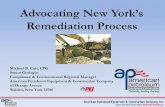 Remediation Process - · PDF fileRemediation Process ... DER-10 –Technical Guidance for Site investigation and ... •Helps develop and implement procedures for Site Investigation