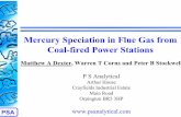 mercury speciation in flue gas from coal-fired power ... · PDF fileMercury Speciation in Flue Gas from ... Stack monitoring ... mercury speciation in flue gas from coal-fired power