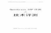 Openbravo ERP评测 之 技术评测 - veryopen.orgveryopen.org/wp-content/downloads/Openbravo_ERP_technic_val.pdf · 软件——Openbravo ERP & POS ... Openbravo ERP is licensed