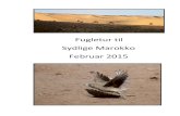 Fugletur til Sydlige Marokko Februar 2015 - CloudBirders · PDF fileLuke Skywalkers cafe i Ouarzazate Foto: Hans ... et lige så storslået logi i Le Ksar de Tafnidilt, hvor Magali