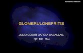 GLOMERULONEFRITIS - Bienvenidos a Evidencia · PDF fileentre una y otra hay hendiduras de 100 micrones ... wegener inflamacion granulomatosa tr y vasculitis ... gn y hemorragia pulmonar: